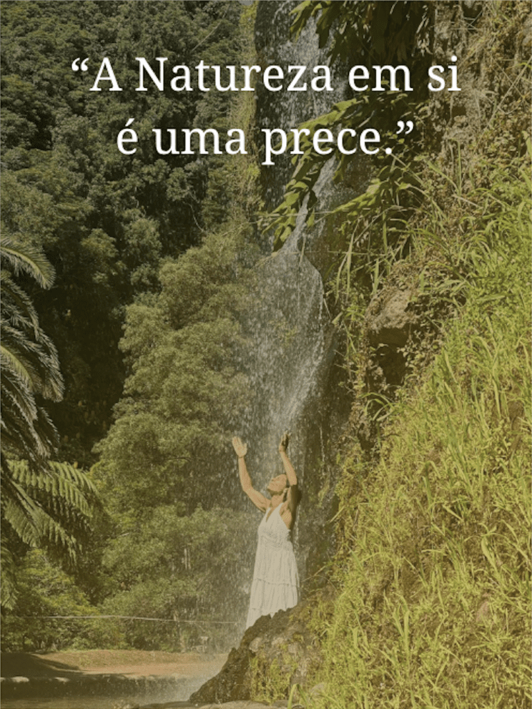 Banhos da floresta voltamos em setembro